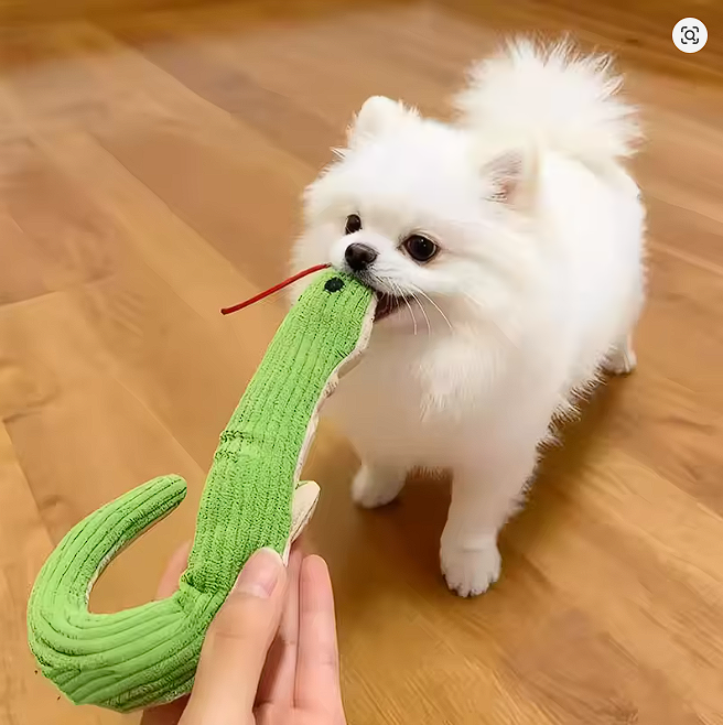 juguete interactivo para mascotas
